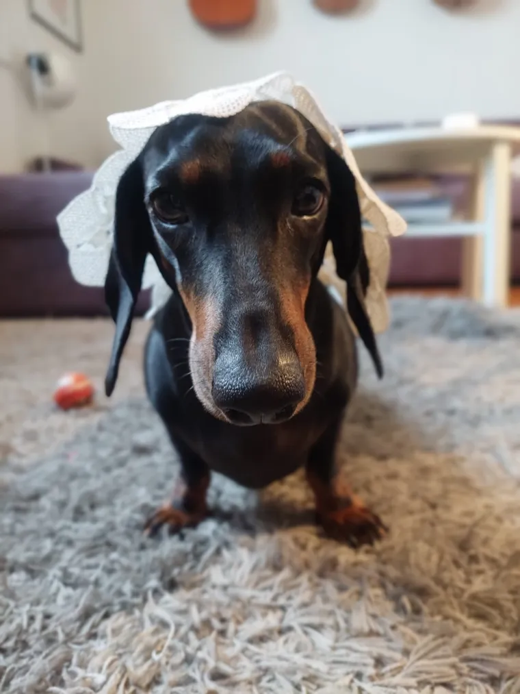 Nova doza tabletića: Fotke koje ste nam poslali vi&scaron;e su nego genijalne