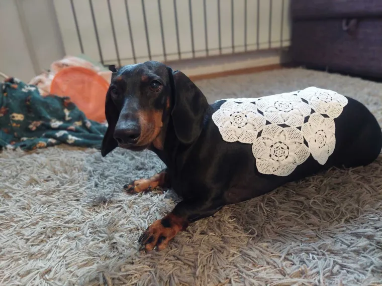 Nova doza tabletića: Fotke koje ste nam poslali vi&scaron;e su nego genijalne