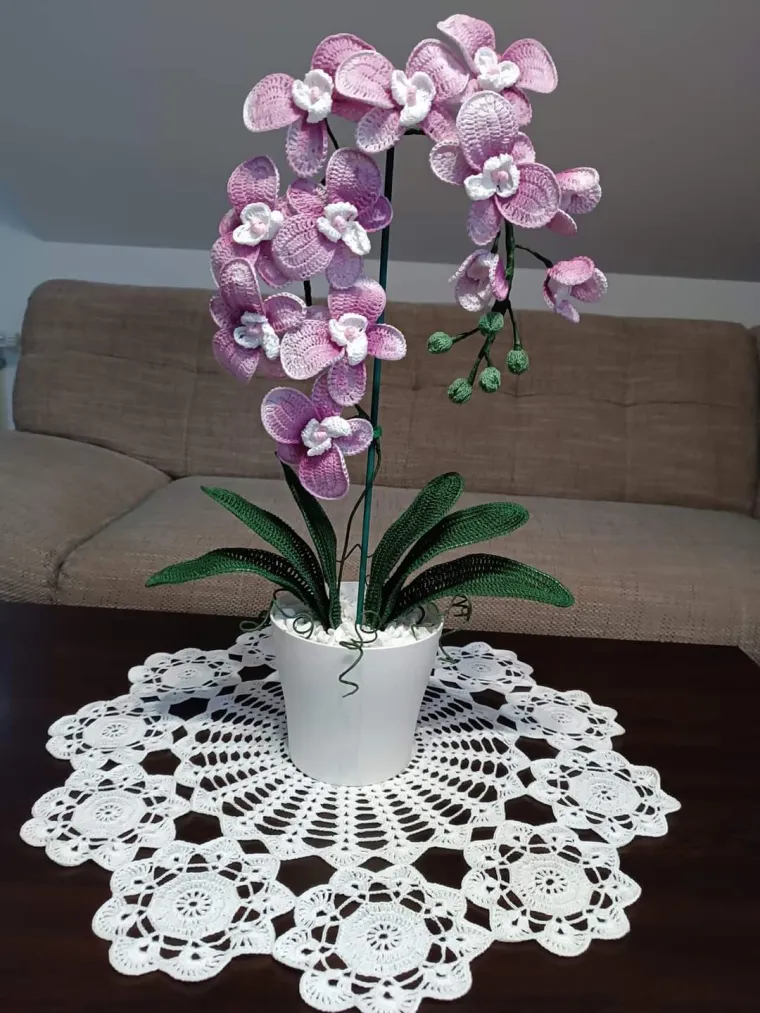 Nova doza tabletića: Fotke koje ste nam poslali vi&scaron;e su nego genijalne