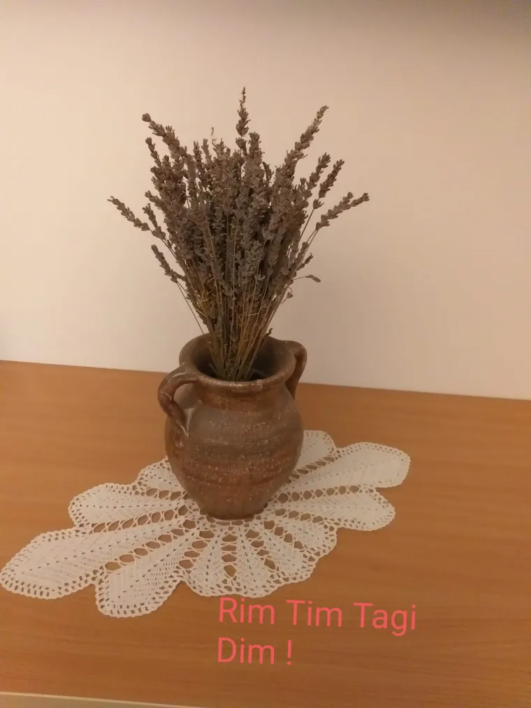 Nova doza tabletića: Fotke koje ste nam poslali vi&scaron;e su nego genijalne