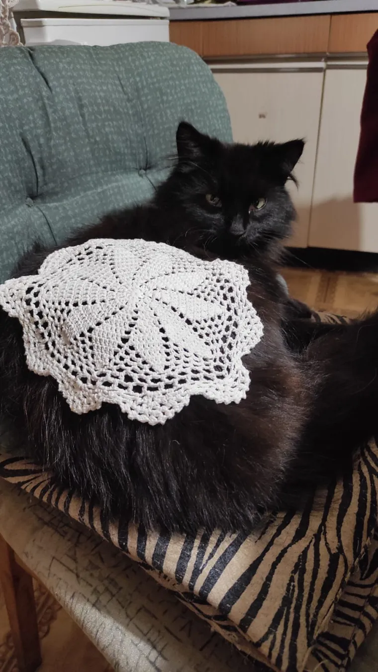 Nova doza tabletića: Fotke koje ste nam poslali vi&scaron;e su nego genijalne