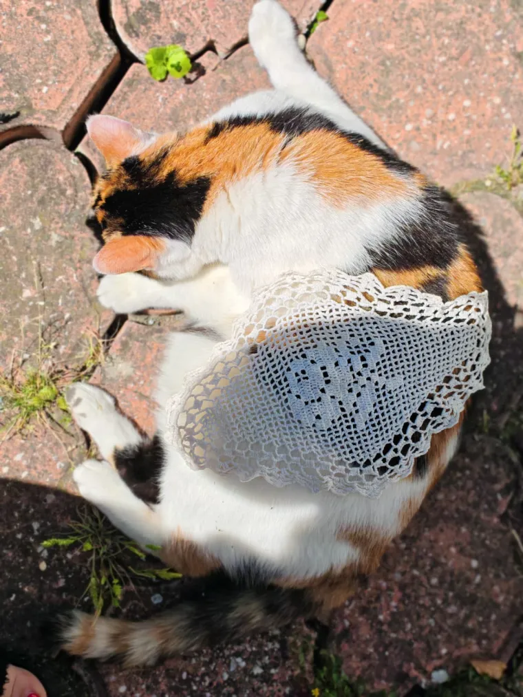 Nova doza tabletića: Fotke koje ste nam poslali vi&scaron;e su nego genijalne