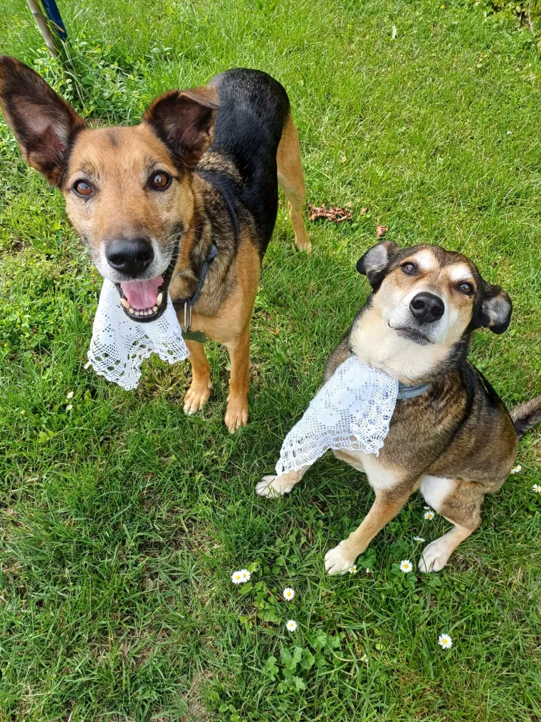 Nova doza tabletića: Fotke koje ste nam poslali vi&scaron;e su nego genijalne