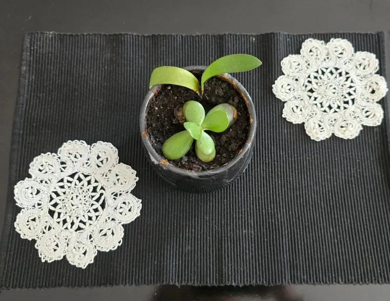 Uzbuđenje na vrhuncu! Tabletići su isheklani te ispeglani za dana&scaron;nje finale Eurosonga