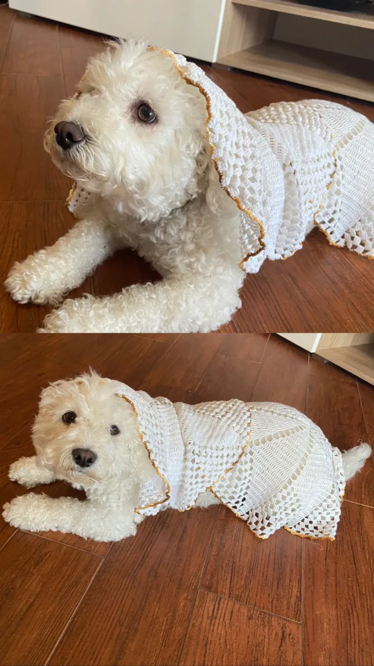 Uzbuđenje na vrhuncu! Tabletići su isheklani te ispeglani za dana&scaron;nje finale Eurosonga