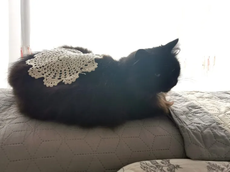 Poslala čitateljica Anka P&scaron;ag iz Varaždina