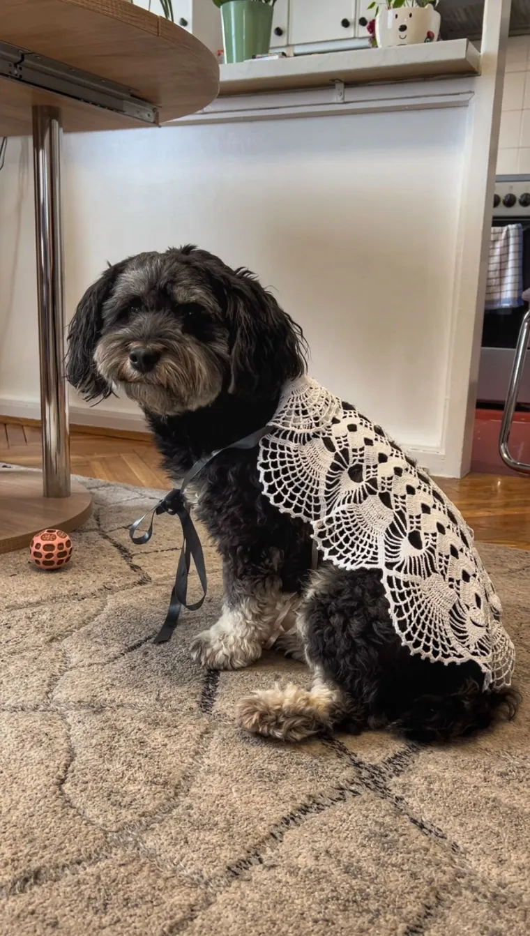 Poslala Nika Družić iz Zagreba