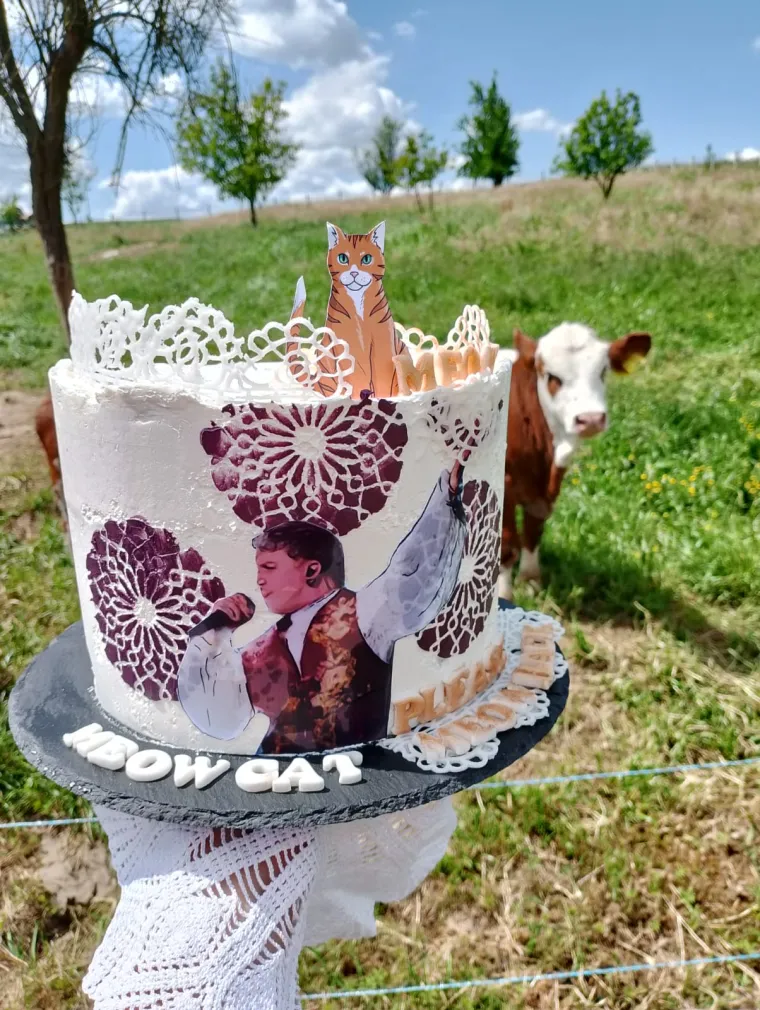 Podr&scaron;ka Baby Lasagni nikad veća. Tabletićmanija zavladala Hrvatskom. Pogledajte &scaron;to ste nam sve poslali