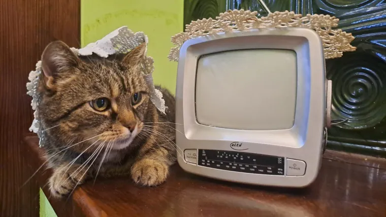 Podr&scaron;ka Baby Lasagni nikad veća. Tabletićmanija zavladala Hrvatskom. Pogledajte &scaron;to ste nam sve poslali