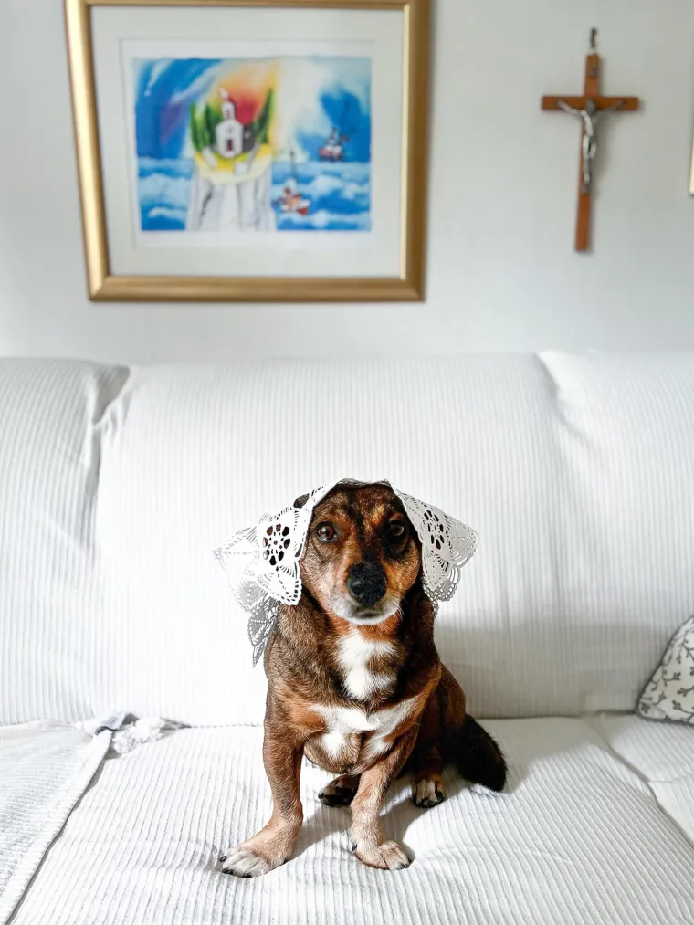 Podr&scaron;ka Baby Lasagni nikad veća. Tabletićmanija zavladala Hrvatskom. Pogledajte &scaron;to ste nam sve poslali