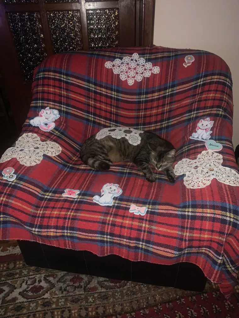 Podr&scaron;ka Baby Lasagni nikad veća. Tabletićmanija zavladala Hrvatskom. Pogledajte &scaron;to ste nam sve poslali