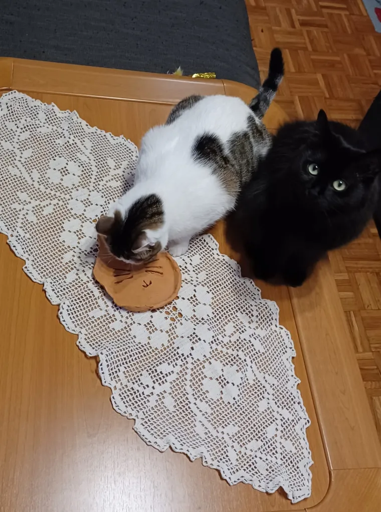 Podr&scaron;ka Baby Lasagni nikad veća. Tabletićmanija zavladala Hrvatskom. Pogledajte &scaron;to ste nam sve poslali