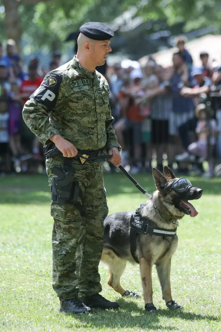 Hrpa naoružanja, tenkova, vojnika i dobre atmosfere. Ovako su najmlađi, ali i oni stariji uživali na Jarunu