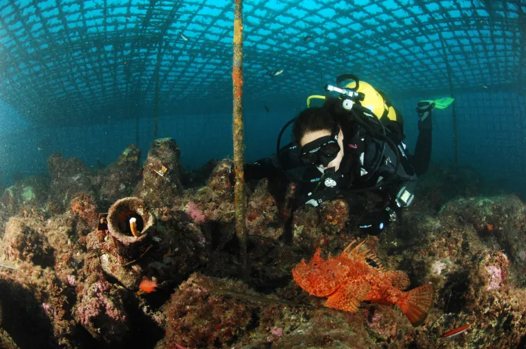 7 najatraktivnijih aktivnosti Dubrovačko-neretvanske županije