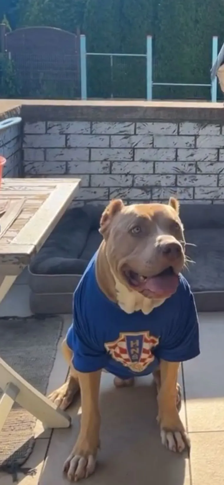 Ovo su najbolje fotografije 'Navijačke groznice' nakon prvog kruga Eura