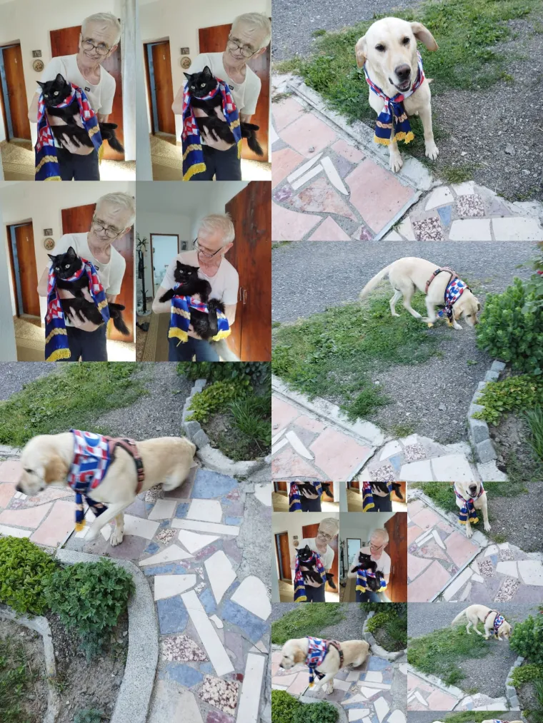 Ovo su najbolje fotografije 'Navijačke groznice' nakon prvog kruga Eura