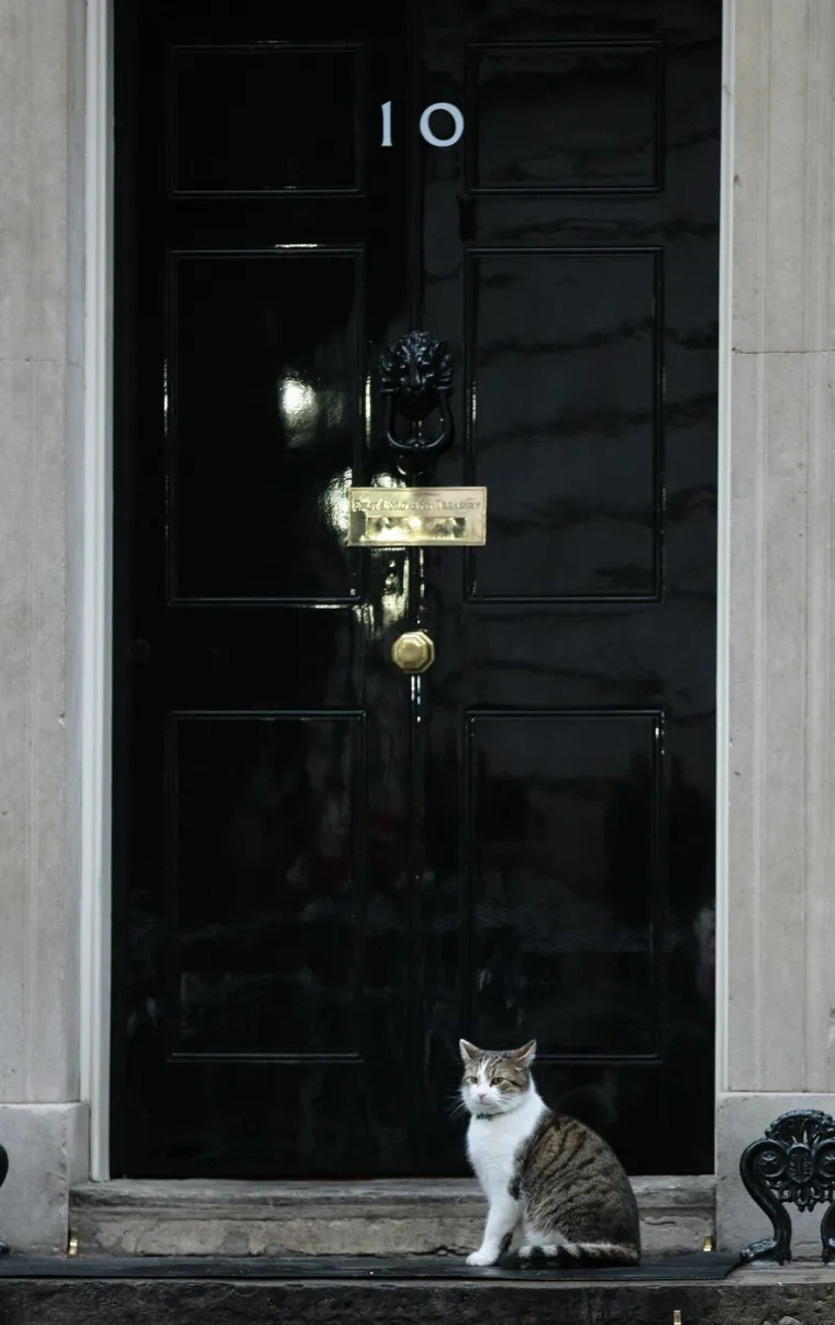 Mačak Larry, apsolutni vladar Downing Streeta, mogao bi ovih dana dočekati svojeg šestog premijera