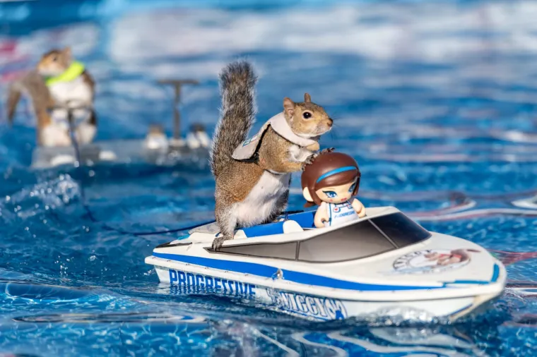 Naučili su vjeverice da skijaju na vodi: Doslovno rade za kikiriki, ali se zbog toga nimalo ne žale