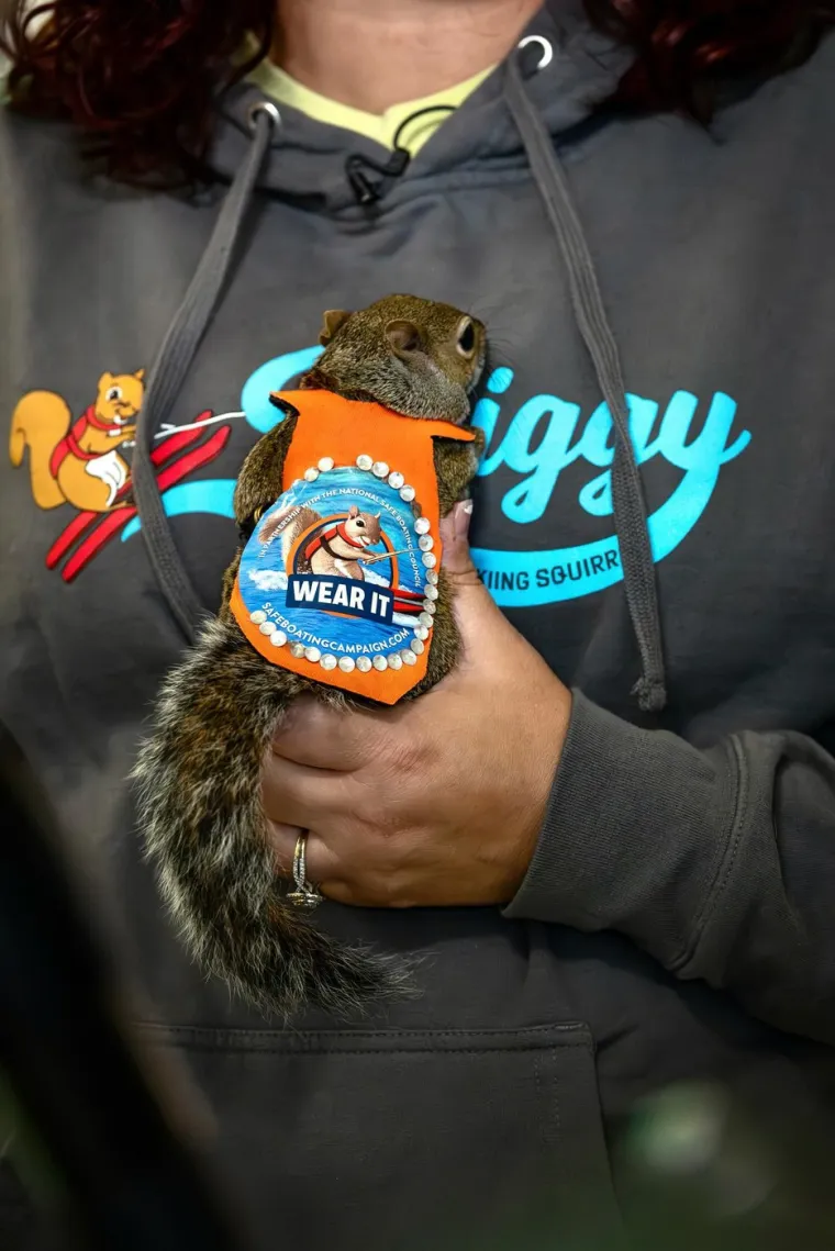 Naučili su vjeverice da skijaju na vodi: Doslovno rade za kikiriki, ali se zbog toga nimalo ne žale