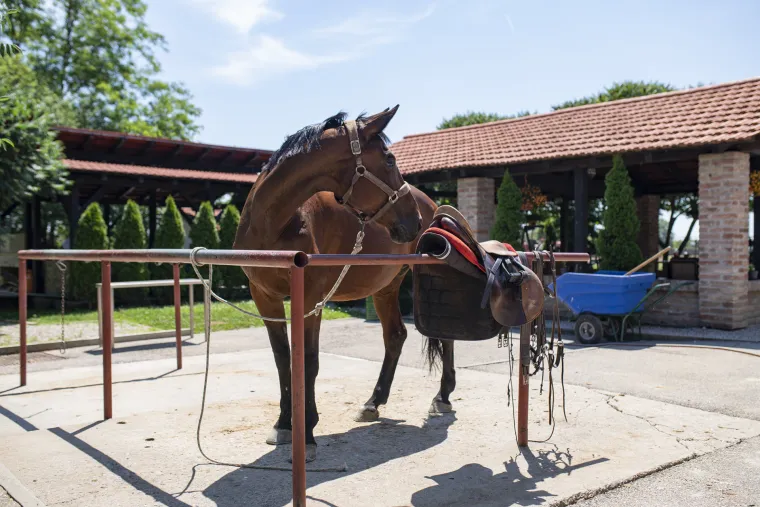 Top sedam aktivnosti u Srijemu i Slavoniji za ljubitelje outdoora