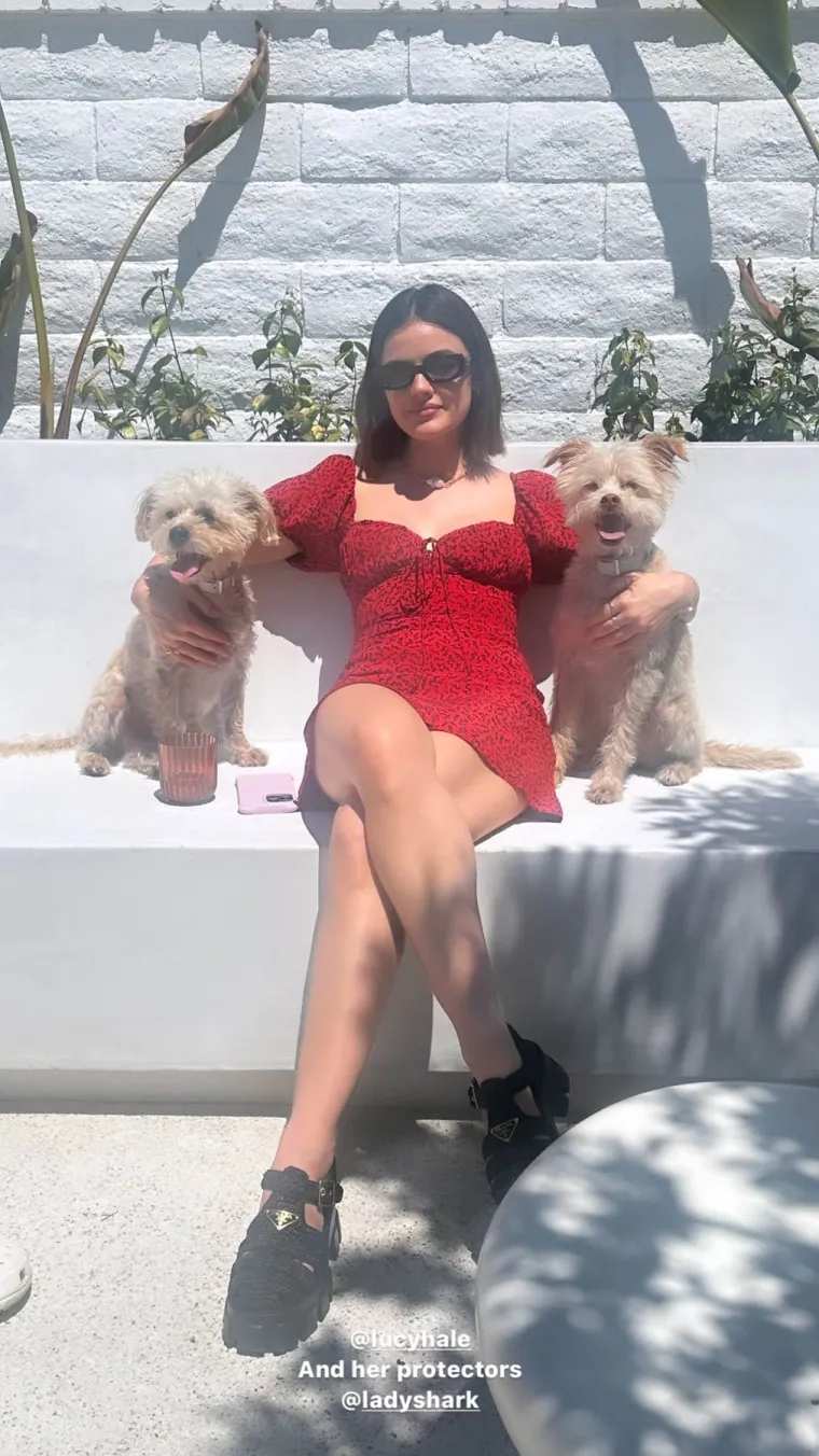 Glumica Lucy Hale