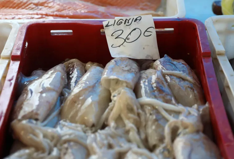 Ponuda na šibenskoj peškariji. Pogledajte cijene ribe, škampa i ostalih morskih plodova