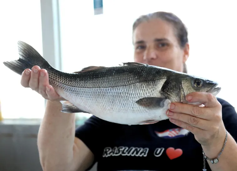 Ponuda na šibenskoj peškariji. Pogledajte cijene ribe, škampa i ostalih morskih plodova