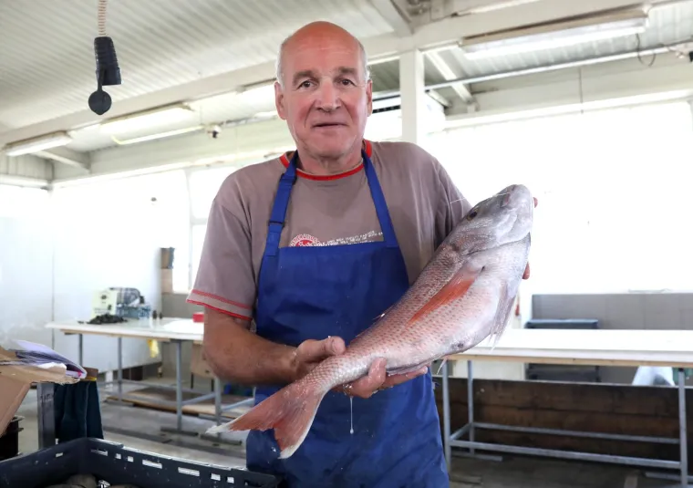 Ponuda na &scaron;ibenskoj pe&scaron;kariji. Pogledajte cijene ribe, &scaron;kampa i ostalih morskih plodova