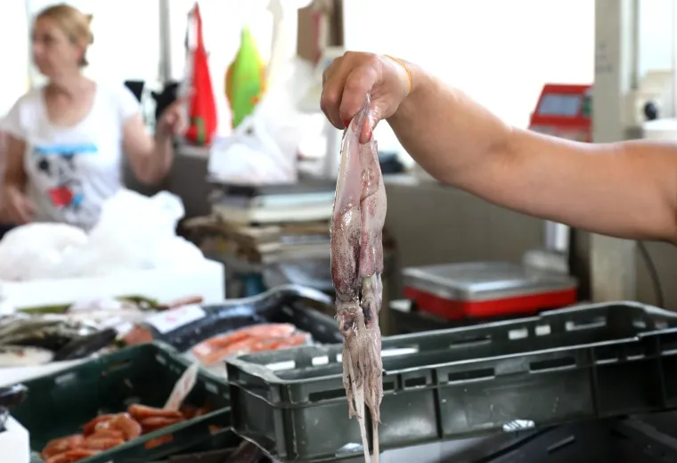 Ponuda na &scaron;ibenskoj pe&scaron;kariji. Pogledajte cijene ribe, &scaron;kampa i ostalih morskih plodova