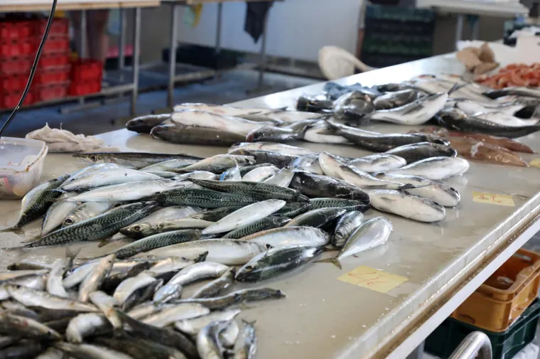 Ponuda na &scaron;ibenskoj pe&scaron;kariji. Pogledajte cijene ribe, &scaron;kampa i ostalih morskih plodova
