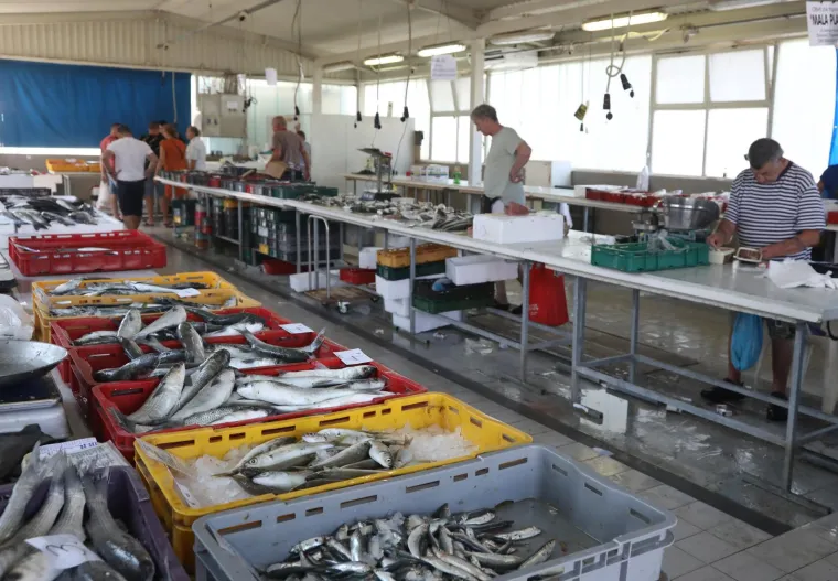 Ponuda na &scaron;ibenskoj pe&scaron;kariji. Pogledajte cijene ribe, &scaron;kampa i ostalih morskih plodova