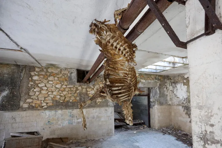 Napušten je već 35 godina, okružen je željezom i zelenilom. Pogledajte kako danas izgleda Goli otok
