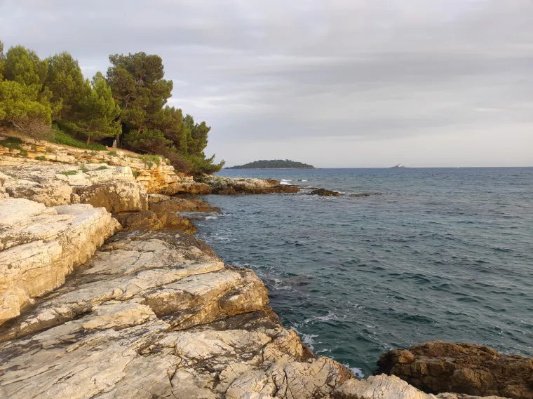 Crveni otok, Rovinj