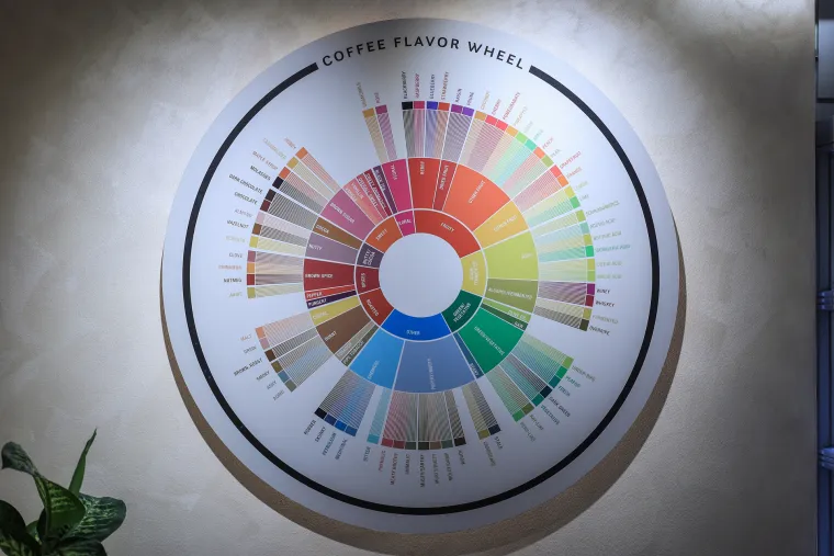 Otvoren novouređeni prostor Franck barističke akademije u Zagrebu