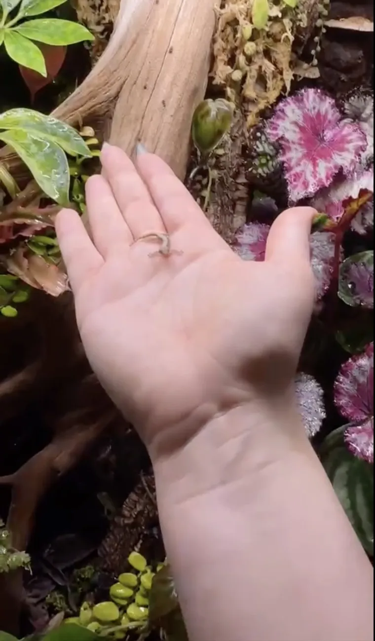 Skupila je vi&scaron;e 200 egzotičnih životinja, s nekima čak dijeli krevet