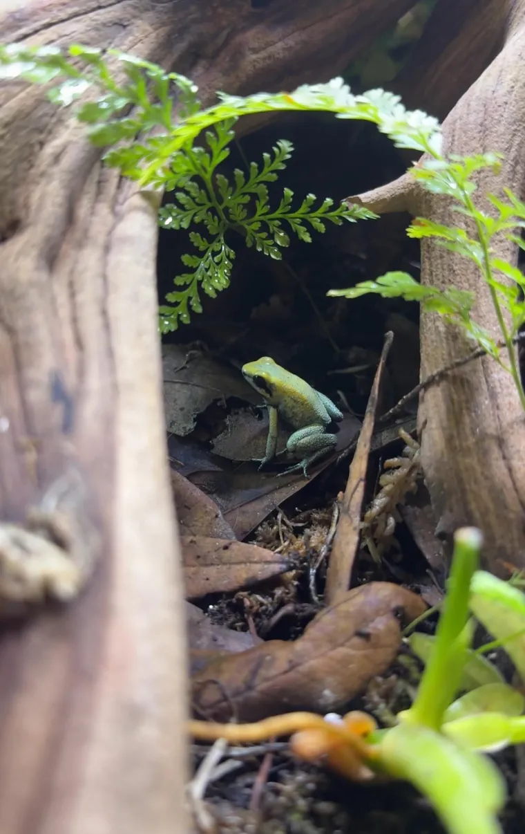 Skupila je vi&scaron;e 200 egzotičnih životinja, s nekima čak dijeli krevet