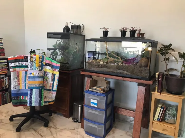 Skupila je vi&scaron;e 200 egzotičnih životinja, s nekima čak dijeli krevet