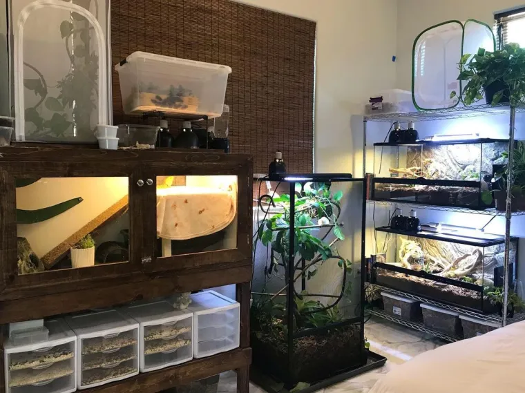 Skupila je vi&scaron;e 200 egzotičnih životinja, s nekima čak dijeli krevet