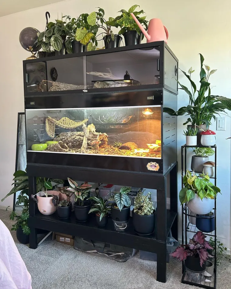 Skupila je vi&scaron;e 200 egzotičnih životinja, s nekima čak dijeli krevet