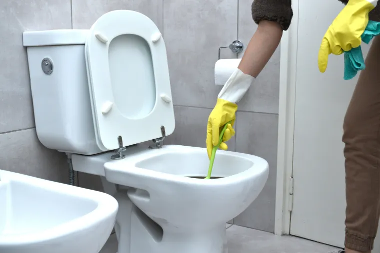 8. Nakon čišćenja WC-a, ne zaboravite pustiti vodu 
