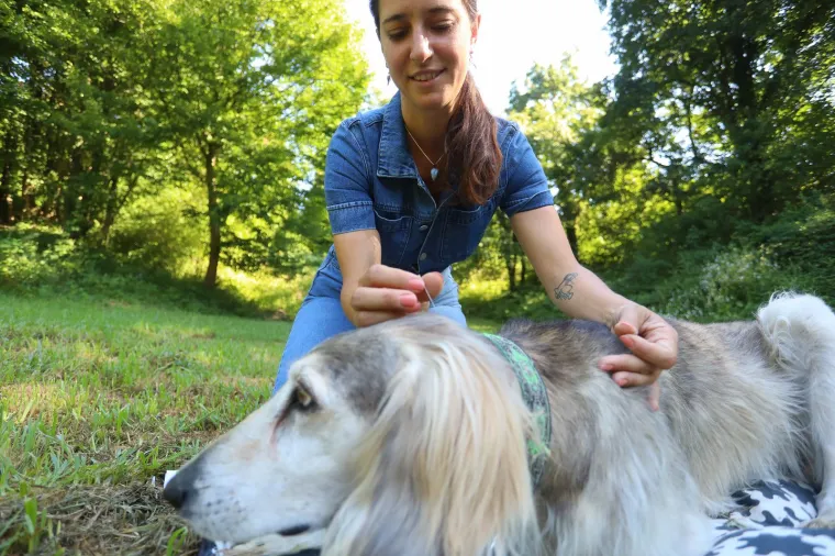 Znate li da u Dugoj Resi liječe ljubimce akupunkturom? Nekad samo šest terapija zna biti sasvim dosta