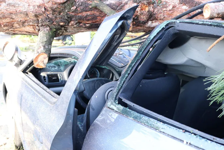 U Ulici Vrhovec vjetar je sru&scaron;io stablo na krov automobila. 