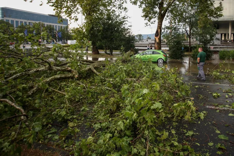 Avenija Dubrovnik ostala je poplavljena. Na cestu su padala stabla. 