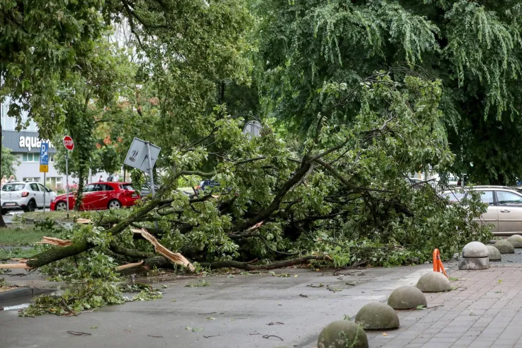 &Scaron;teta je nastala i kod Radničke ceste. Padala su stabla, a na intervenciju su morali izaći vatrogasci. 