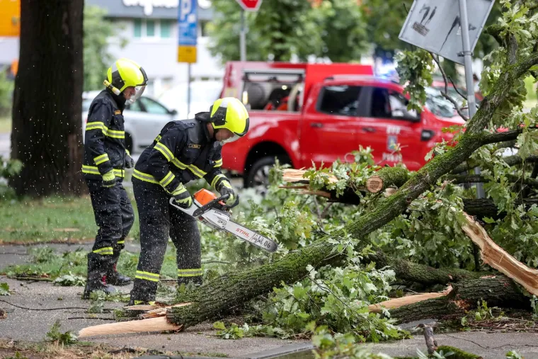 &Scaron;teta je nastala i kod Radničke ceste. Padala su stabla, a na intervenciju su morali izaći vatrogasci. 