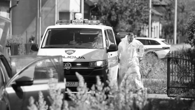 Iza najkrvavijeg zločina prema broju žrtava u novijoj hrvatskoj povijesti stoji vojnik 105. brigade Hrvatske vojske Vinko Palić (28), koji je u prvim satima prvog dana 1993. godine ubio devetoro mladih i ranio sedam osoba koji su u župnom dvoru u Zrinskom Topolovcu kod Bjelovara čekali Novu godinu. U dvosatnom masakru ubio je policajca Blaža Majdandžića koji je došao na intervenciju, brata i sestru Mariju (17) i Nikolu (17) Čibarića, Vladu Rodića (27), Filipa Rodića (20), braću Sebastijana (26) i Paška (20) Gashija, Tonija Gucića (19) te vlastitog brata Nikolu (20) jer ga je pokušao spriječiti u masakru. 