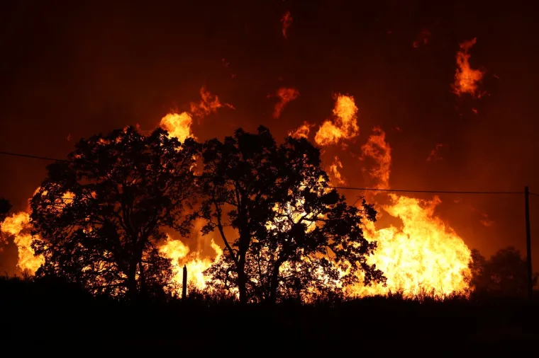 Pogledajte jezive prizore požara u Kaliforniji: Vatra gutala domove, ljudi prisiljeni na evakuaciju