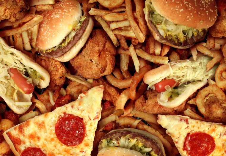 8. brza hrana (fast food)