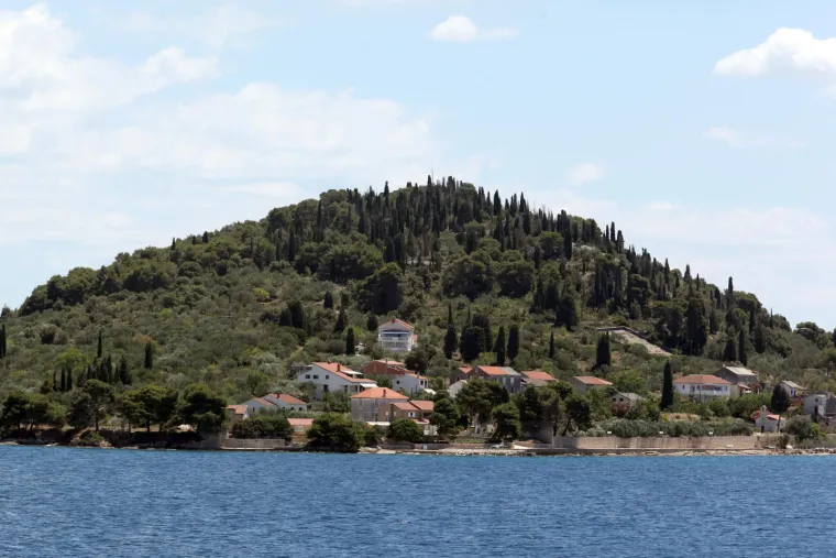 Veći dio otoka prekriven je divnom park-šumom s gustom vegetacijom borova, čempresa i hrastova crnike uz stabla maslina i mediteransku makiju. Između mnoštva borova smjestile su se i malene uvale savršene za uživanje bez gužvi, a najveća vrlina otoka je što je većina uvala u hladu.