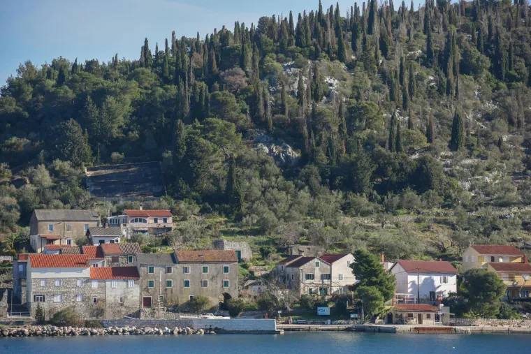 Park-šuma nije samo primjer predivne i netaknute prirode, to je i mjesto na kojem možete vidjeti nekoliko ugroženih i strogo zaštićenih vrsta ptica, od ševe krunice i primorske trepetljke preko surog orla  i morskog vranca do zmijara i dugokljune čigre.